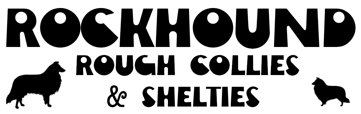 Rockhound Rough Collies & Shelties