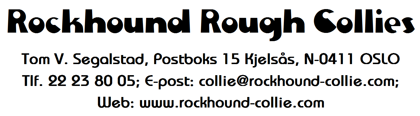 Rockhound Rough Collies